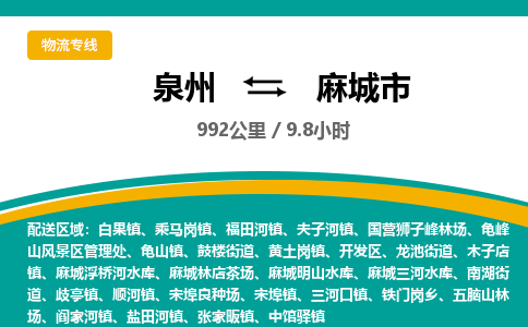 泉州到麻城市物流-泉州至麻城市货运安全、可靠的物流服务